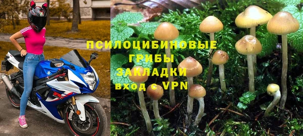 винт Армянск