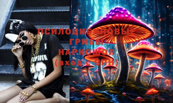 прущие грибы Арсеньев